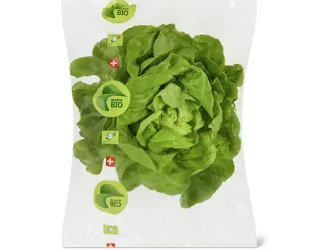 Laitue pommée · Bio, verte 1pièce