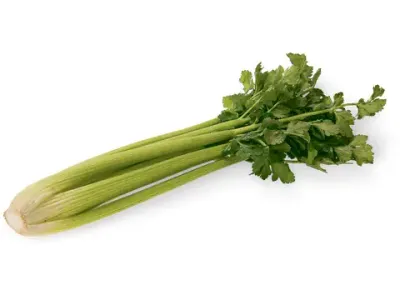 Céleri-branche 1Kg