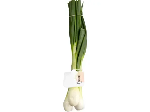 Oignons frais 1pièce