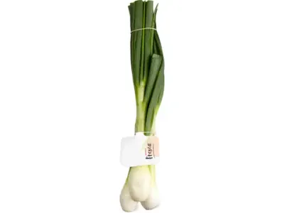 Oignons frais 1pièce