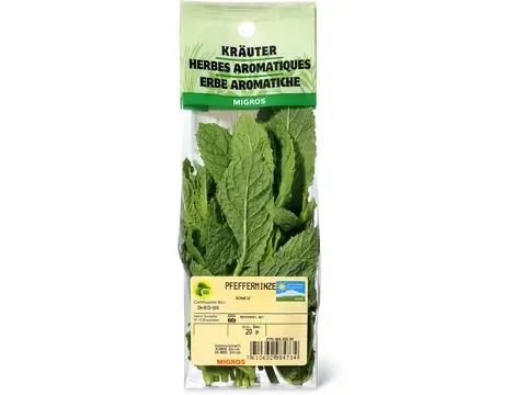 Menthe poivrée · Bio 20g