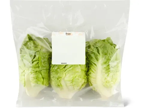 Laitue romaine · Mini verte 1pièce
