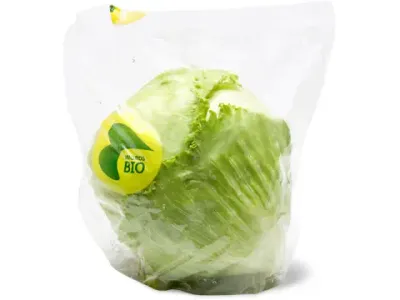 Laitue iceberg · Bio 1pièce
