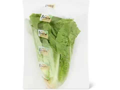 Laitue romaine 1Kg