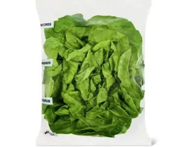 Salade pommée · verte 1pièce