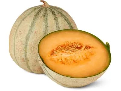 Avocat