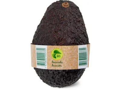 Avocat