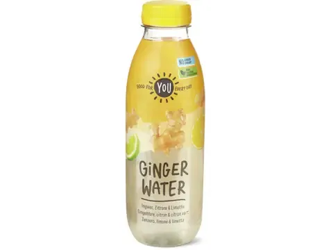 You · Ginger Water · gingembre, citron et citron vert, Sans sucre ajouté 500ml