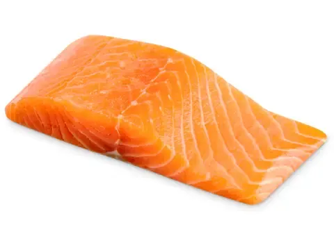 Filet de saumon · Bio 100g