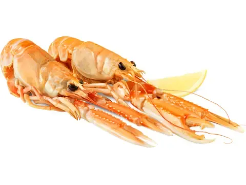 Langoustine entière 100g