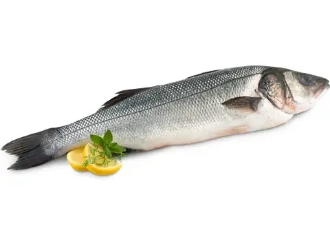 Bar · Bio 100g
