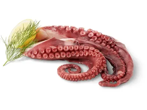 Tentacules de poulpe · cuits 100g