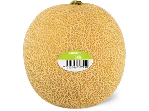 Melons · Galia 1 pièce