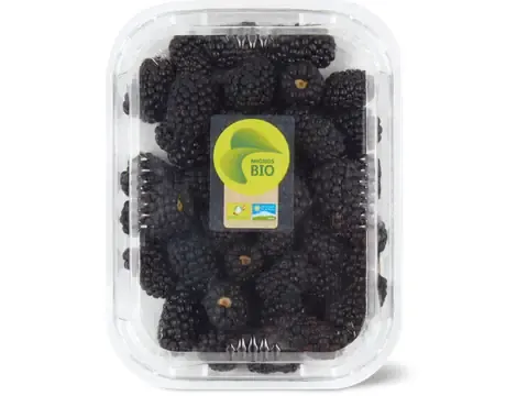 Mûres · Bio 250g