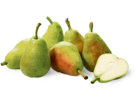 Poires · Guyot 1 kg