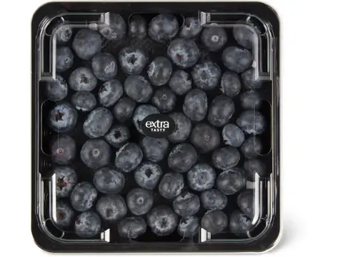 Extra · Myrtilles 250g