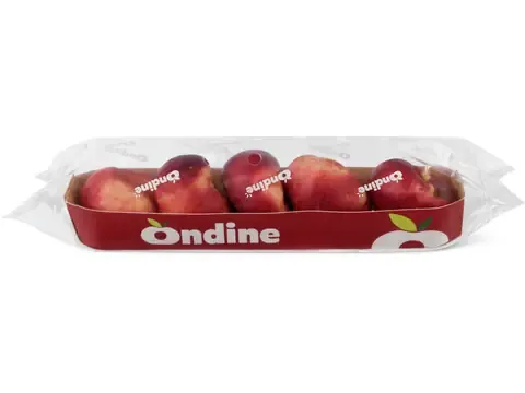 Nectarines · plates 500 grammes 500g