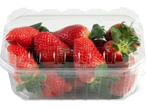 Fraises 500g
