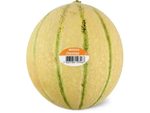 Melons · Charentais 1 pièce 1 Stk