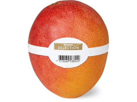 Mangue · mûrie sur l’arbre 1 pièce