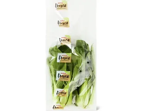 Pak-choï 1 pièce