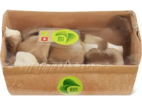 Pleurotes · Bio 150g