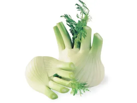 Fenouil 1 kg