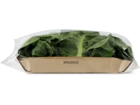 Laitue romaine · Mini verte 1 pièce