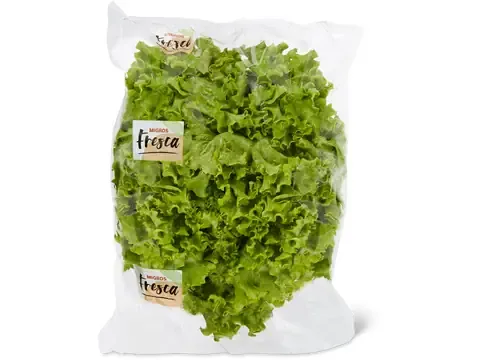 Laitue batavia · verte 1 pièce