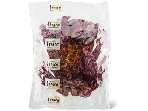 Laitue feuille de chêne · rouge 1 pièce