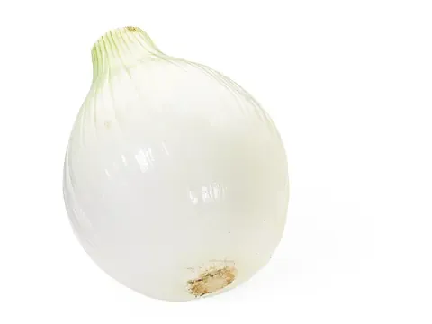 Oignon potager (oignon doux) 1 pièce