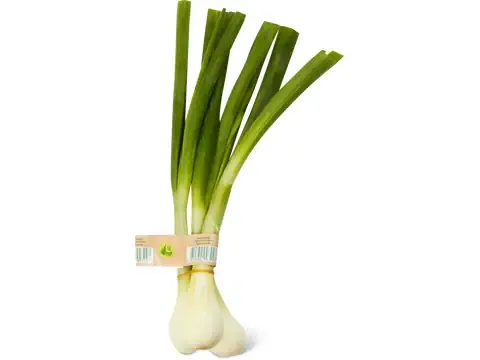 Oignons frais · Bio 1 pièce