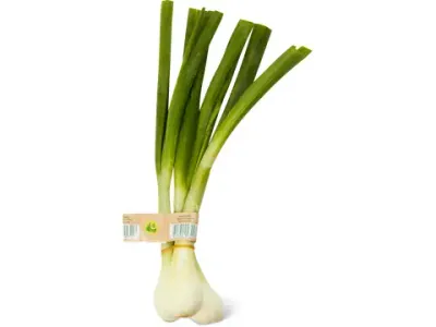 Oignons frais · Bio 1 pièce