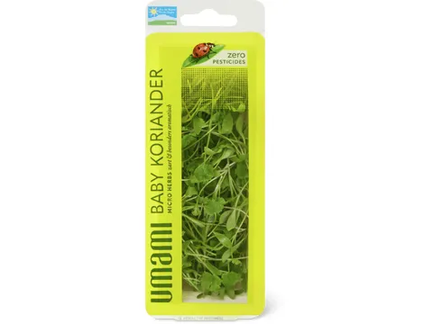 Micro-pousses de coriandre Vitalmix Microgreens 10g