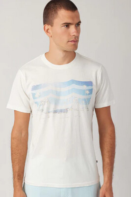 Sol Angeles, Mens Graphic Tee, Riviera Waves