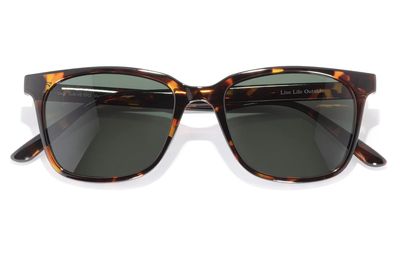Sunski, Ventana, Tortoise Forest