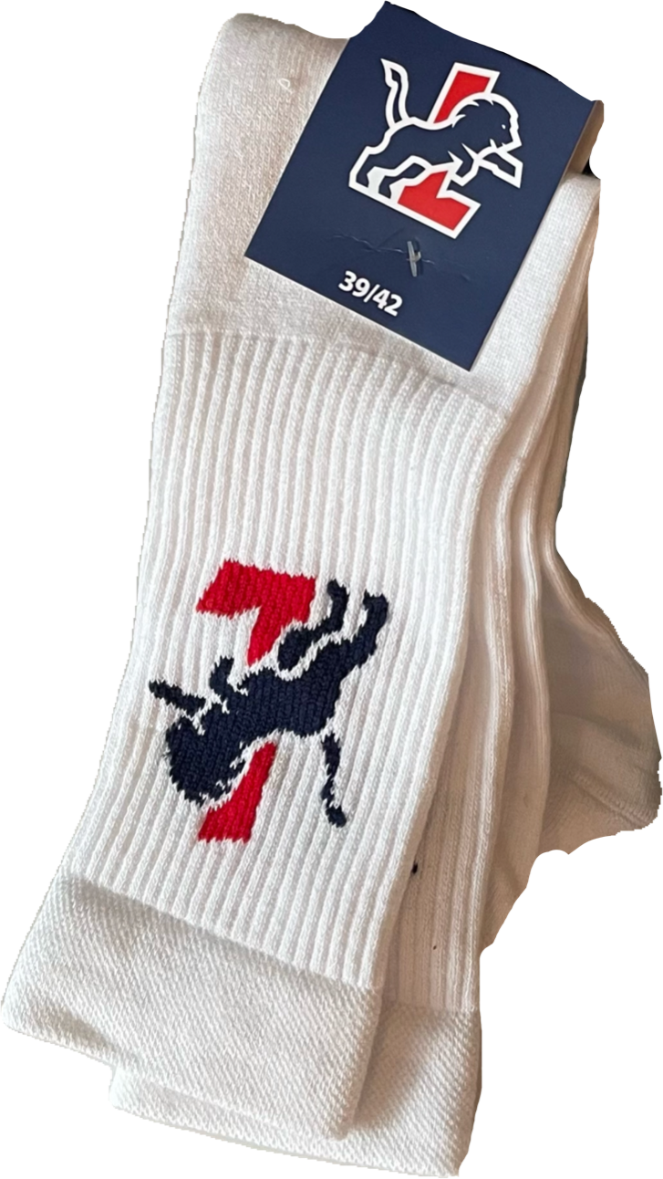 SVG Lüneburg Logo Socke
