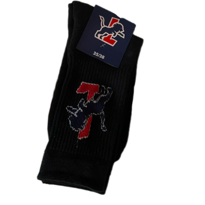 SVG Lüneburg Logo Socke