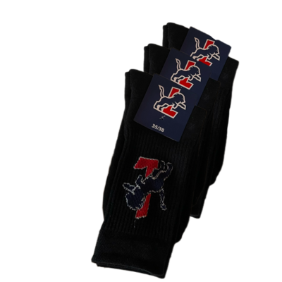 SVG Lüneburg Logo Socke 3er Pack