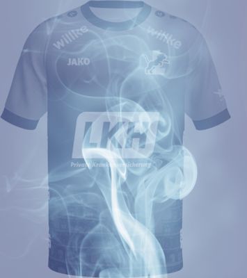 Fan-Trikot