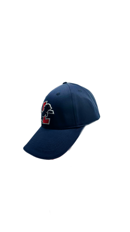 SVG Lüneburg Cap