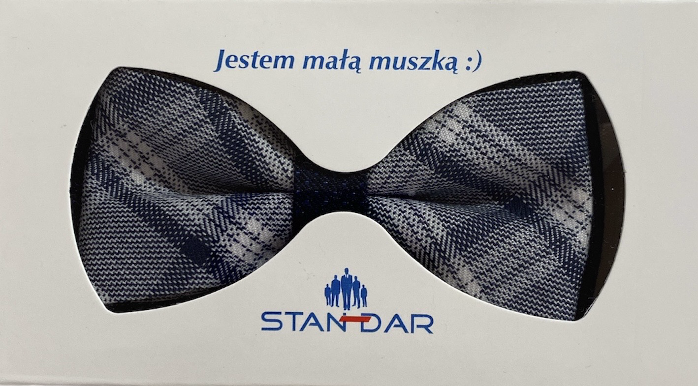 standar Boys Dickie Bow & Pocket Square