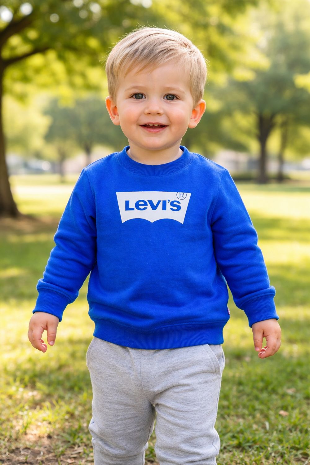 Boys Levi's Sweater (6E9078)