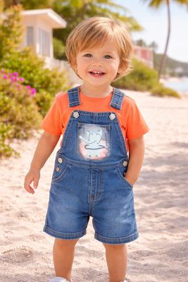 Zippy Boys Dungarees Set