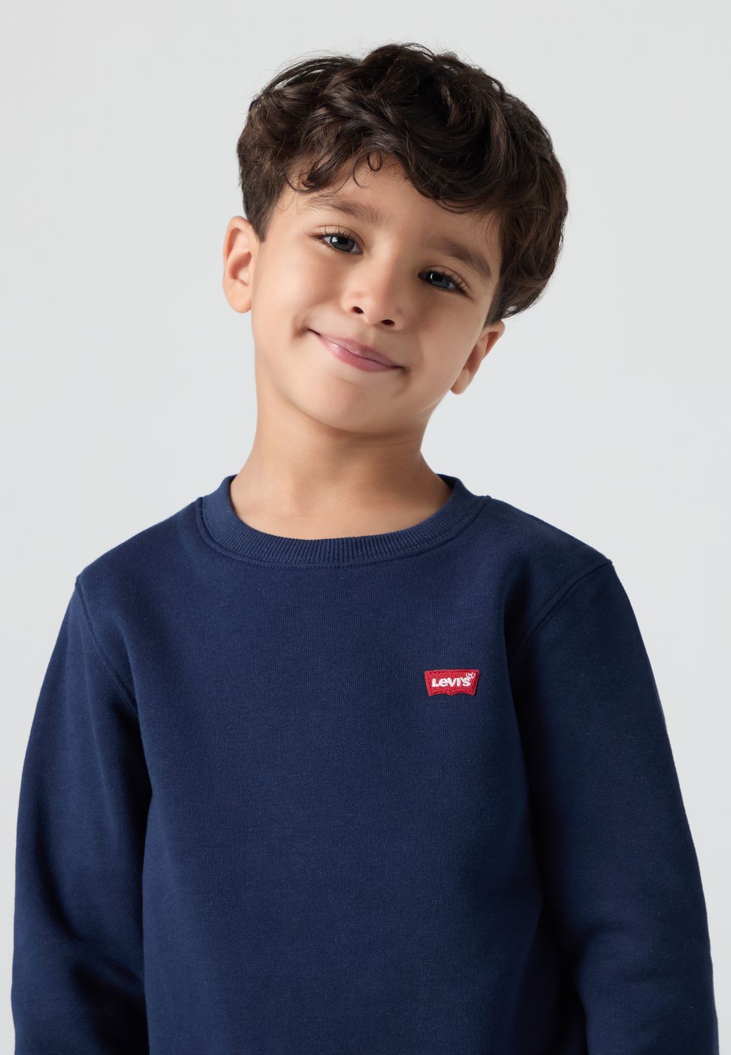 Levi's Boys Sweater (8EE331)