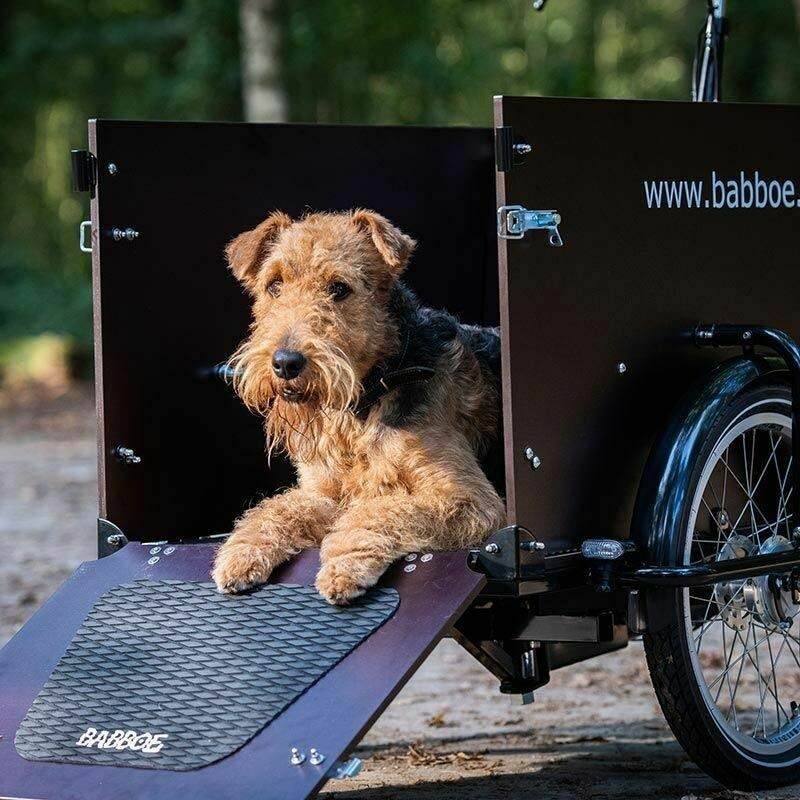Babboe Dog-E Lastenrad Elektrisch für Hunde