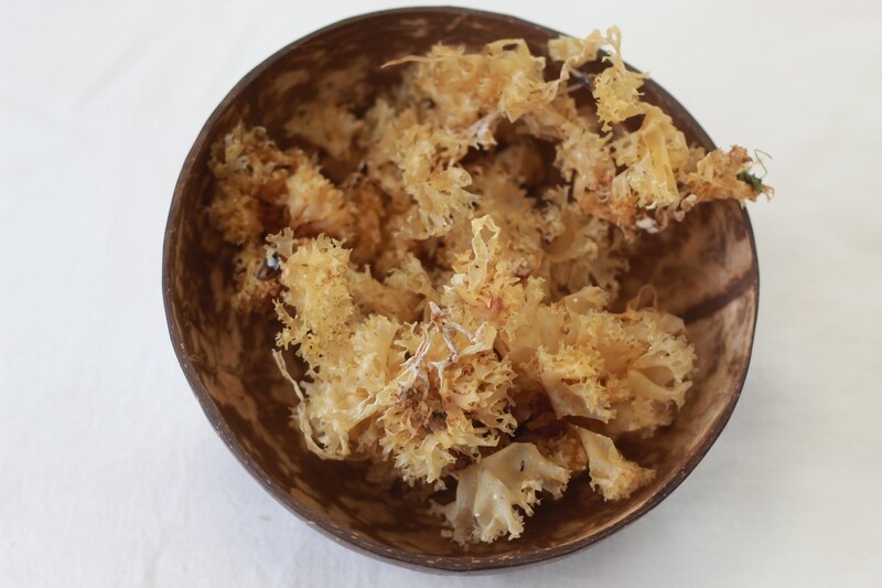 Organic Seaweed Carrageen 28g