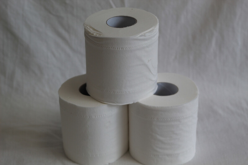 Cheeky Panda Single Toilet Roll