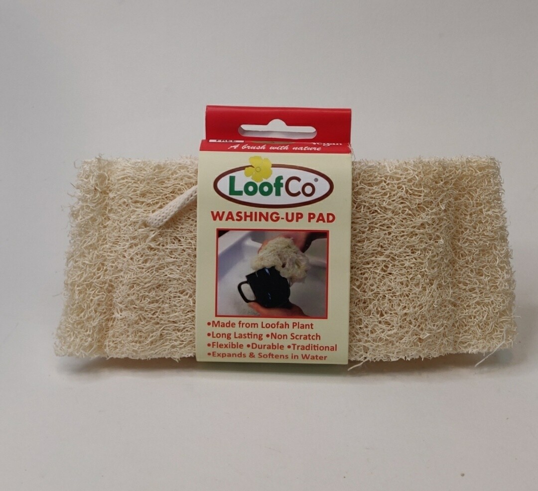 Loofco Washing up pad Single