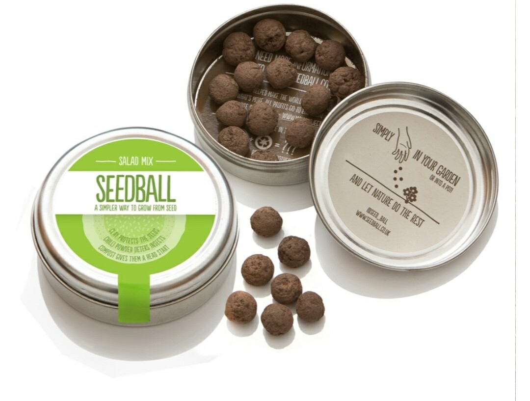 Seedball Salad Mix Tin